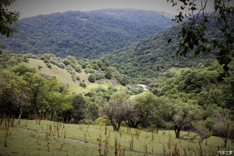 难忘的草原简谱完整版,难忘的草原女声完整版