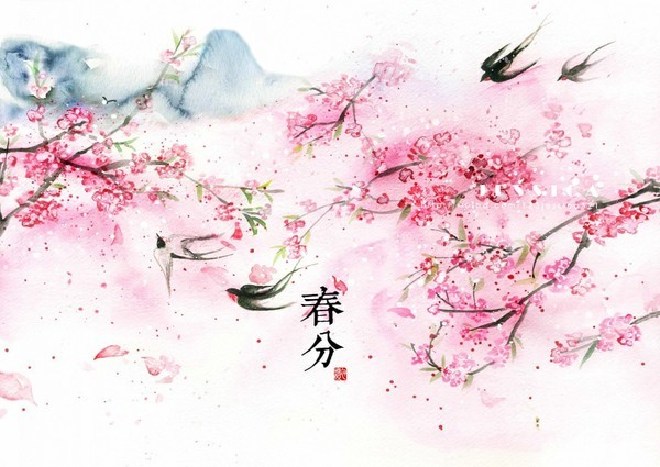 品谷雨茶，聊中国第五大发明——二十四节气