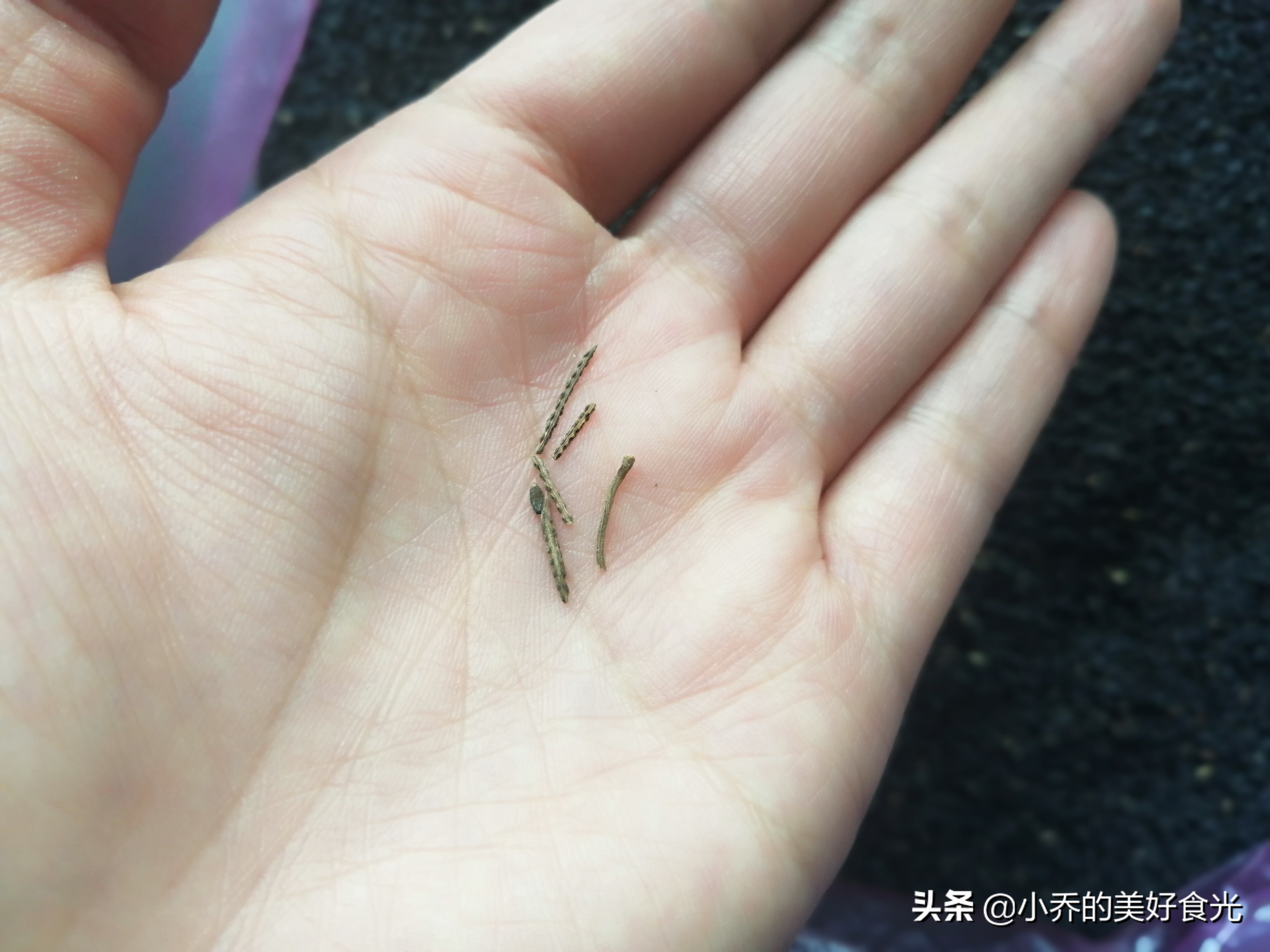 芝麻清洗方法,芝麻清洗后怎样干得快