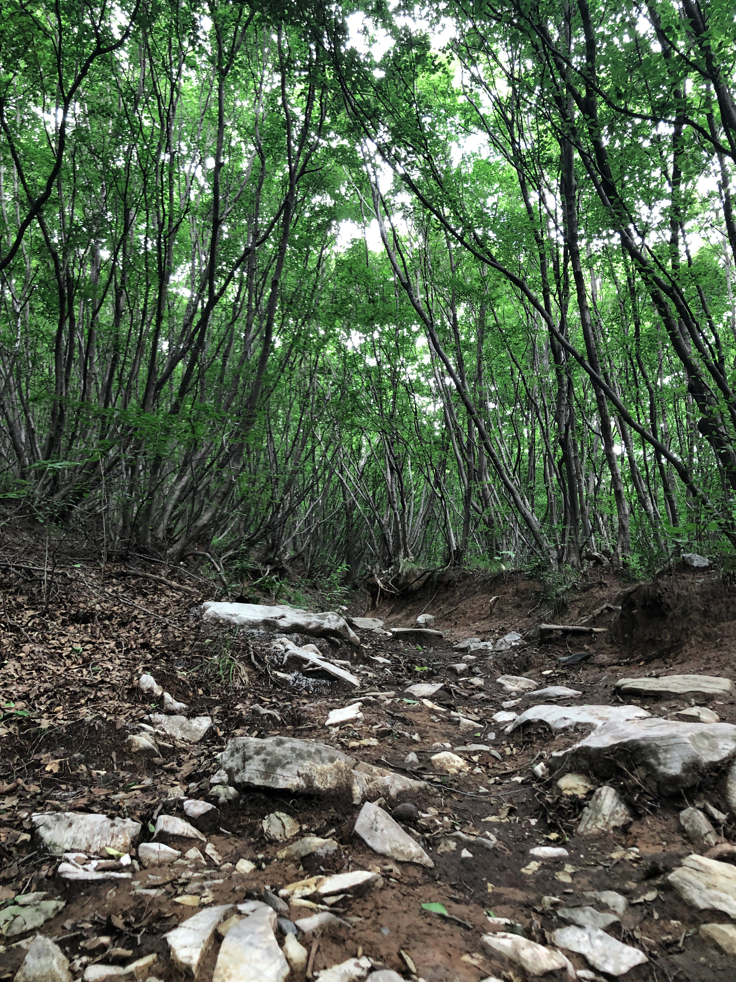 京郊十条登山步道推荐,房山蝴蝶谷登山步道