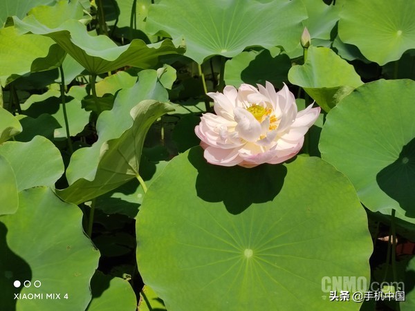 小米mix2s评测,小米mix4游戏评测