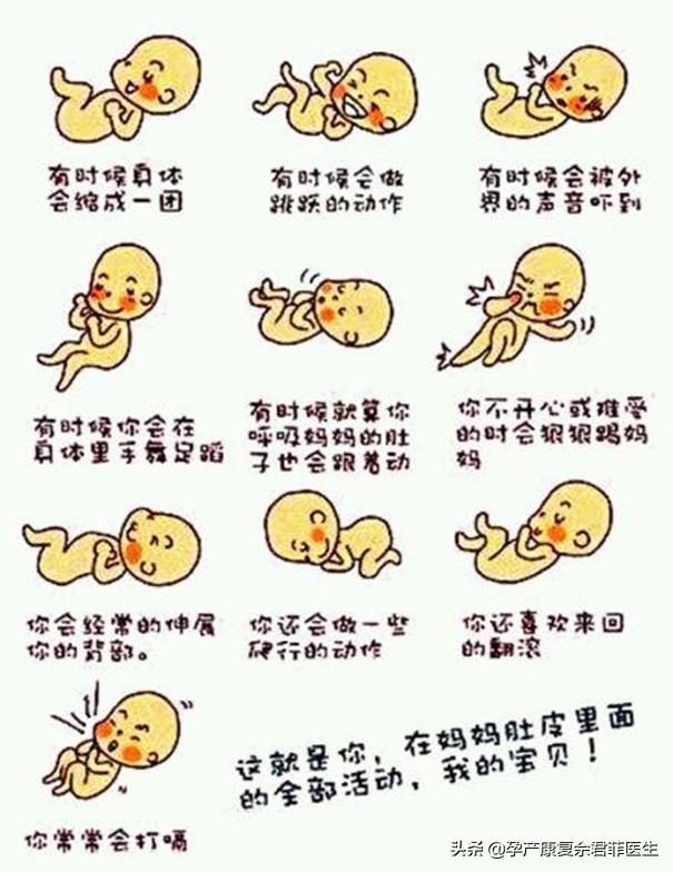 28周后怎么数胎动,数胎动的正确方法图