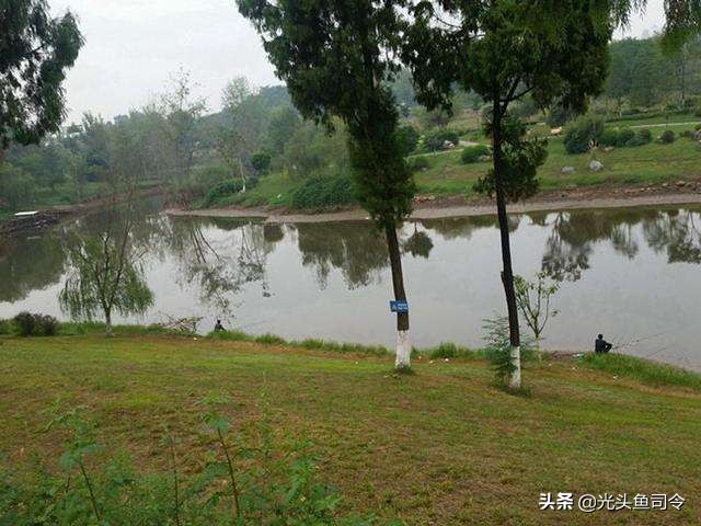 下雨天用麦子钓鱼,用小麦钓鱼没口啥情况