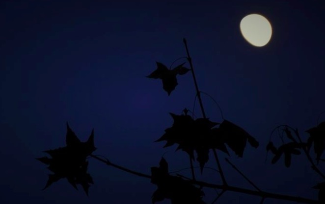 苏轼被贬黄州写的千古名句,苏轼被贬黄州写的第一首诗词