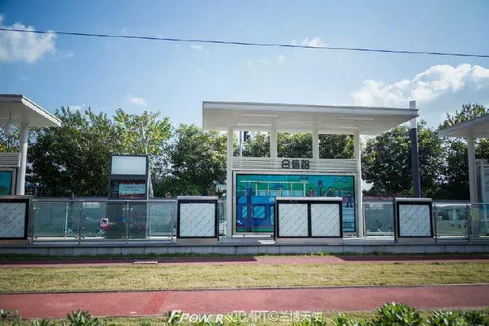 从蓉2来｜天天看见“叮叮猫”跑来跑去的，它到底在忙什么啊？