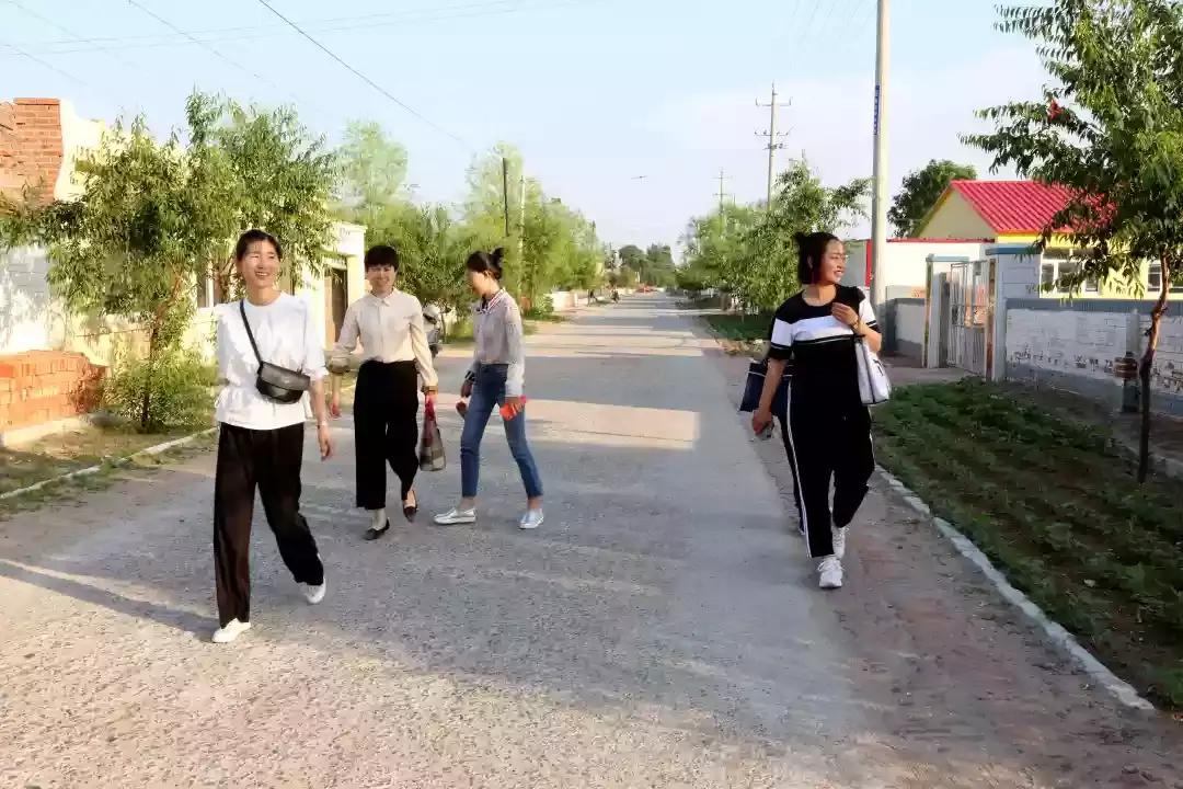 奈曼三花猫,奈曼三金