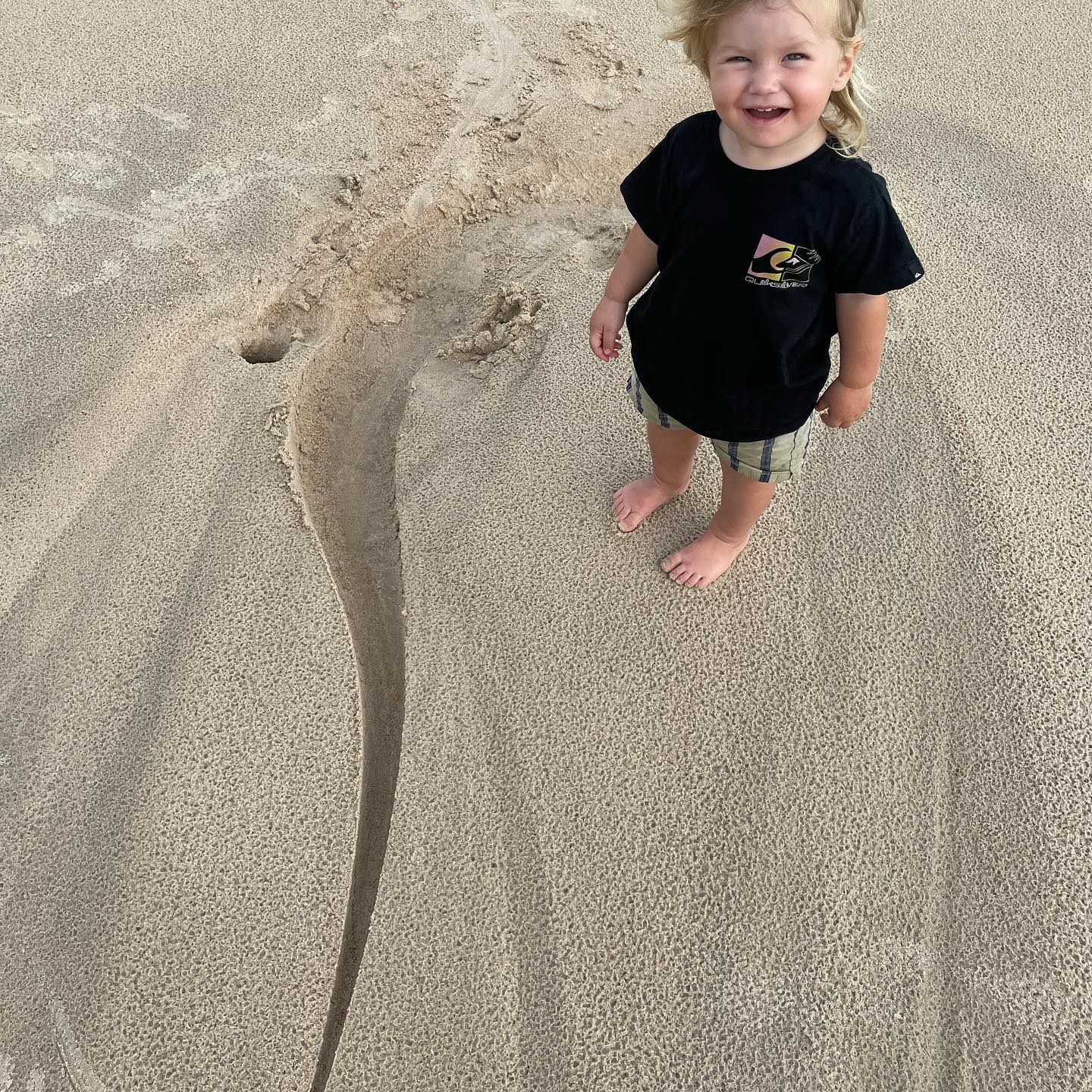 澳洲狂野早教：2岁娃单挑巨蟒，爸爸在一旁指点加油，这？