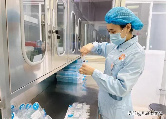 感动生命中的每一个人,让生命延续的她们有一个共同名字