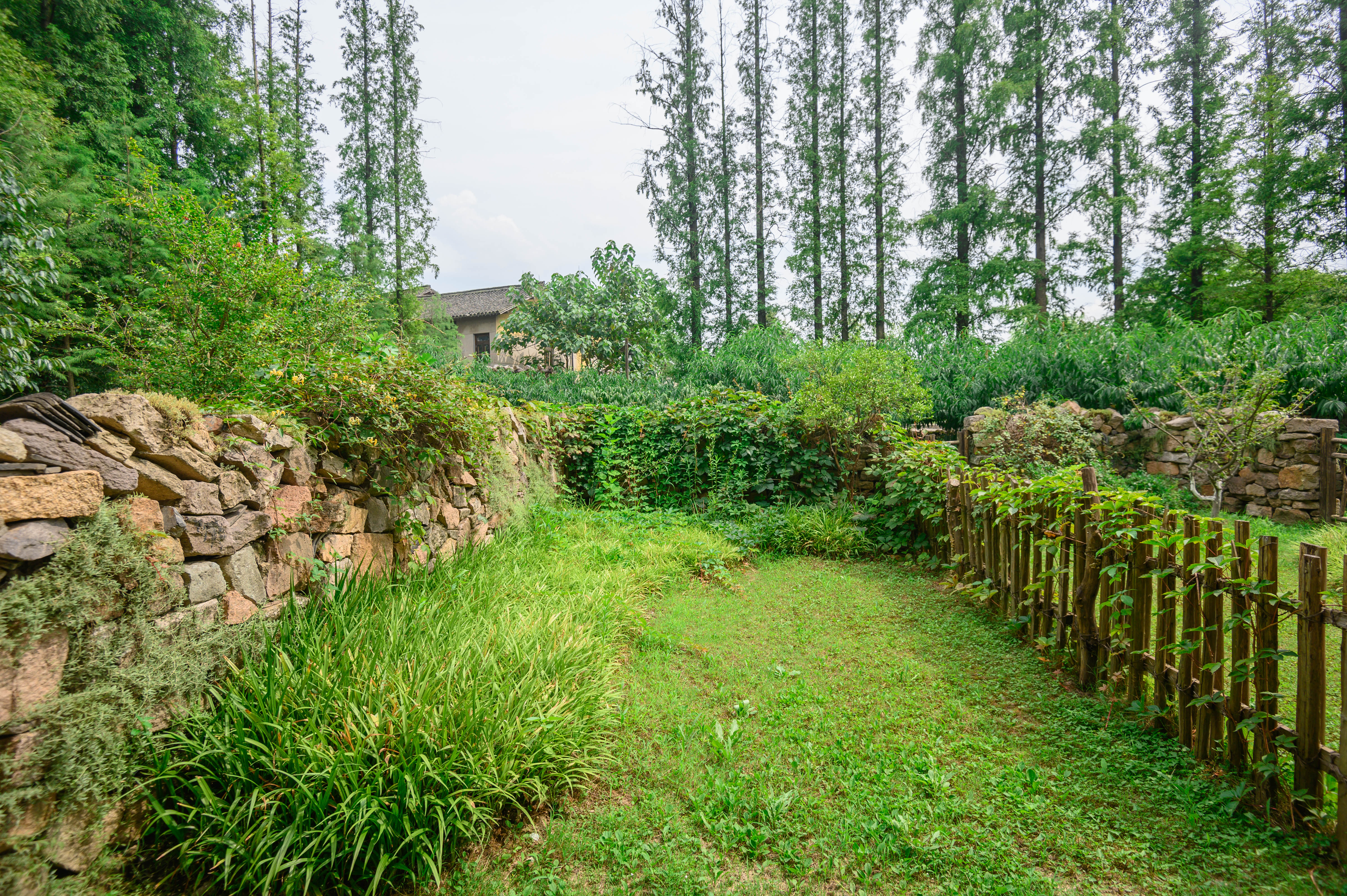 知道乌村吗，孩子来了就不愿离开，住乌村去西栅可以省150元