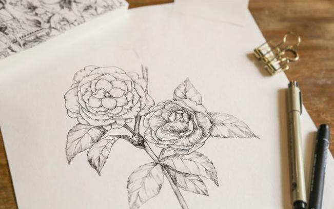 十大公认好用的手帐笔,手帐专用樱花笔