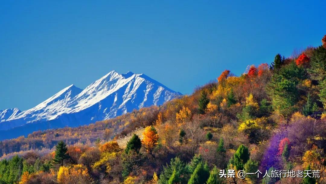 国庆旅游宝藏景点,还有哪些宝藏小众旅游地