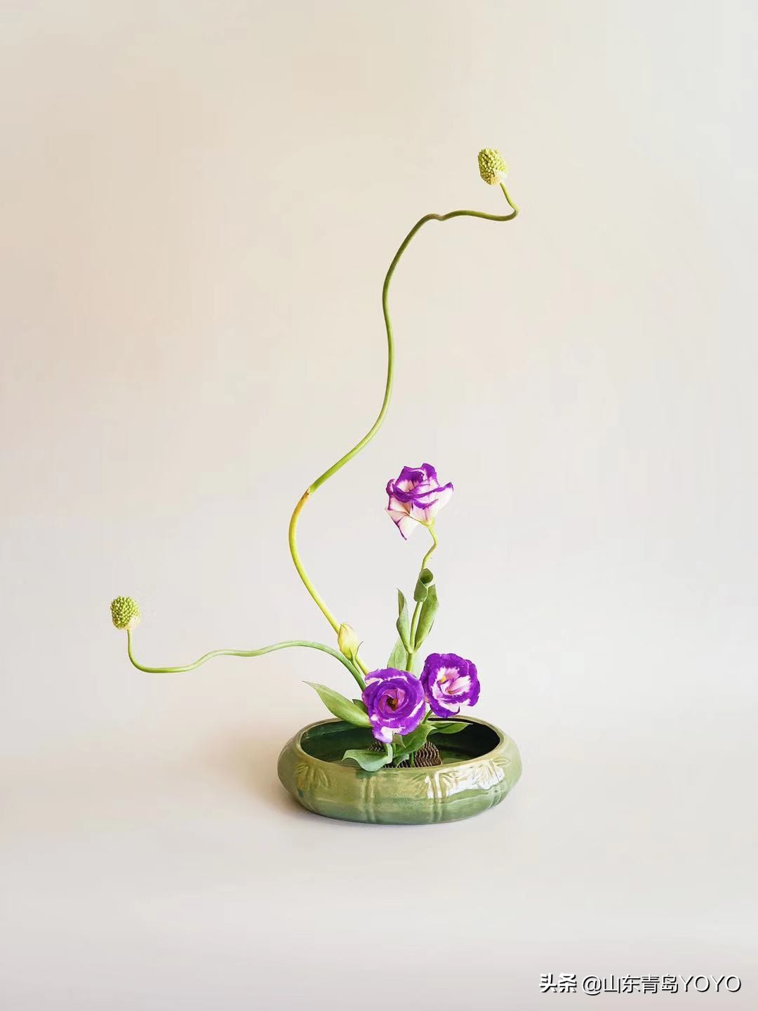 小原流插花入门,花意匠插花视频