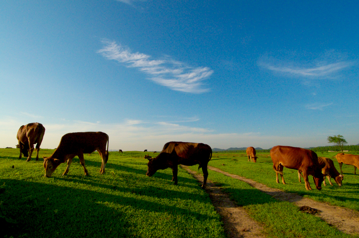 长沙哪里适合户外烧烤的地方多,长沙户外烧烤攻略出炉