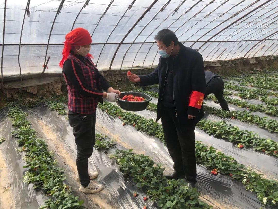 防疫生产两不误复工复产工作纪实,复工复产一线防疫人员