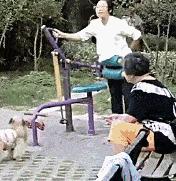 搞笑表情包动图片大全,我手机珍藏的50个动态表情包