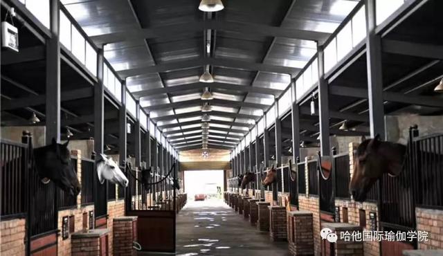 11月不负秋光不负卿恒大嘉丽泽养生谷百人户外瑜伽