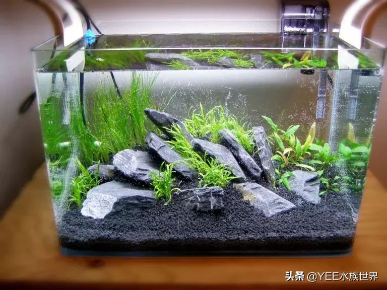 养鱼水浑用什么药,养鱼水浑