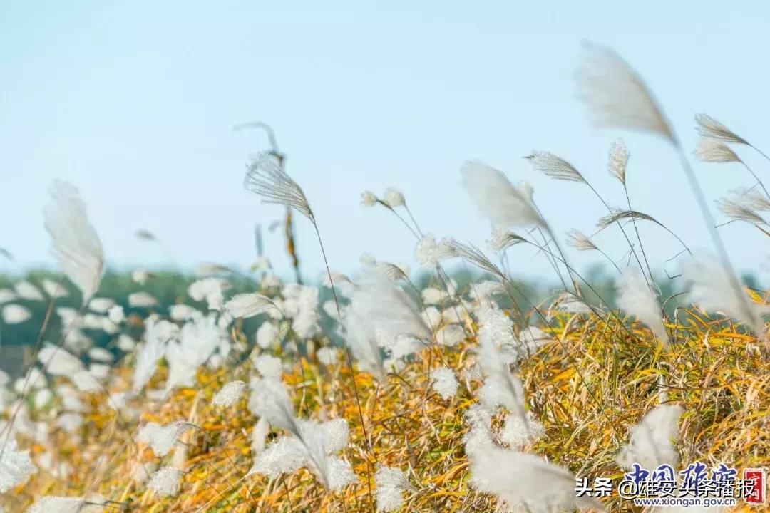 雄安值得一去吗,雄安最值得去的地方