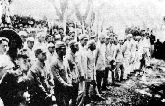 每一圈年轮,都值得细数——致广西大学九十周年华诞