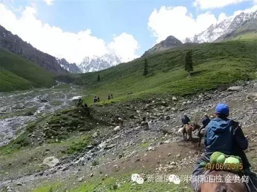 玛纳斯探奇之旅,新疆探秘伊犁