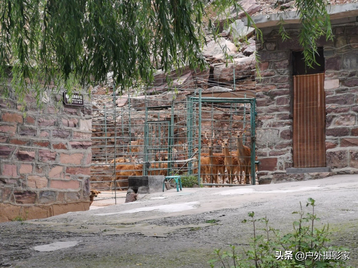 我的户外日记视频,我的户外日记旅游