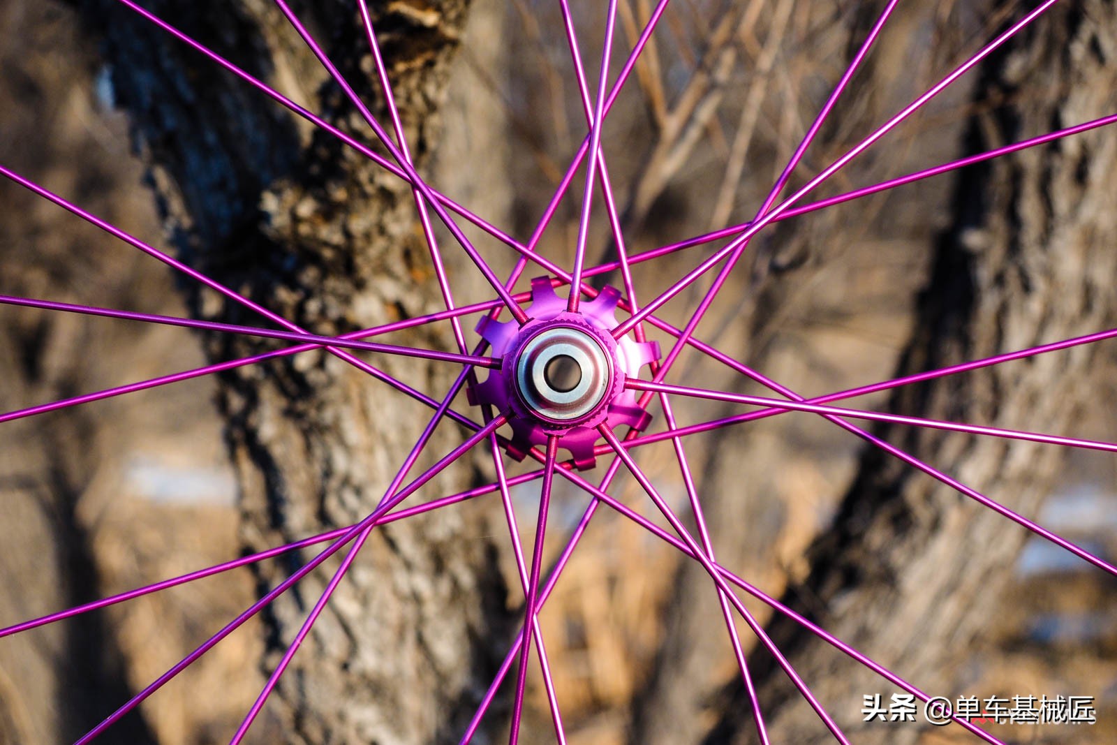 是什么赋予了这对轮组如此僵硬的骑行体验？是骚气的玫红色吗？