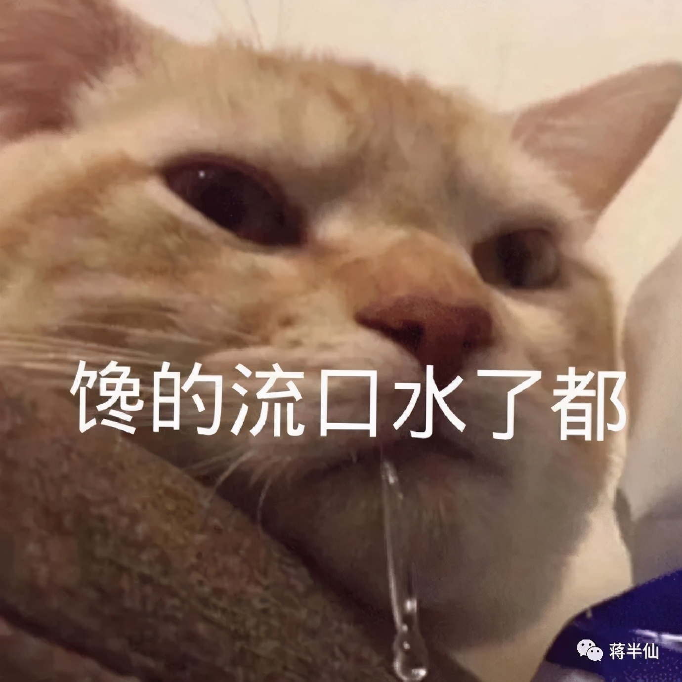 旅行日记之四川成都,四川成都游记作文600字