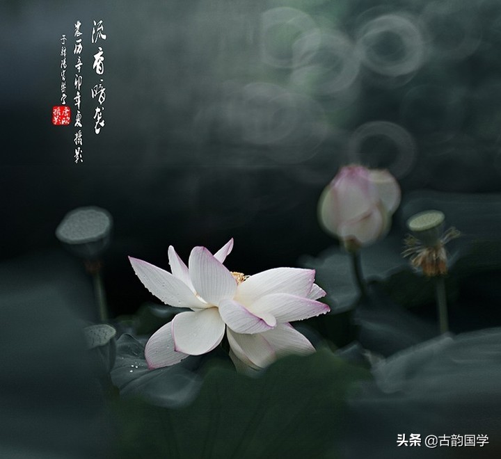 百香诗选阅读,百香诗全文