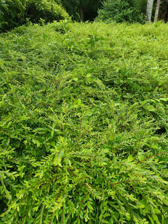 万宁海边的深海,万宁夜晚的海边