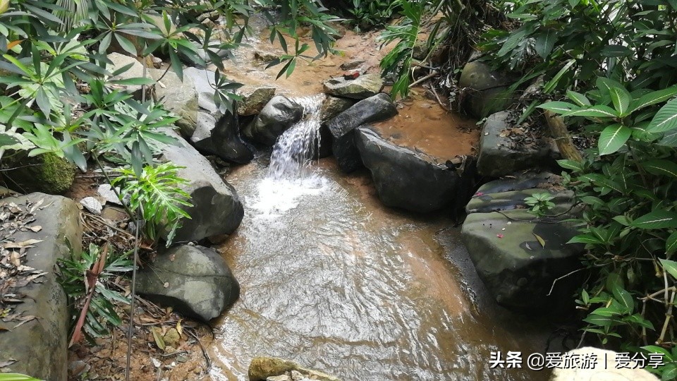 广州附近登山好去处,广州天堂顶徒步登山最佳路线