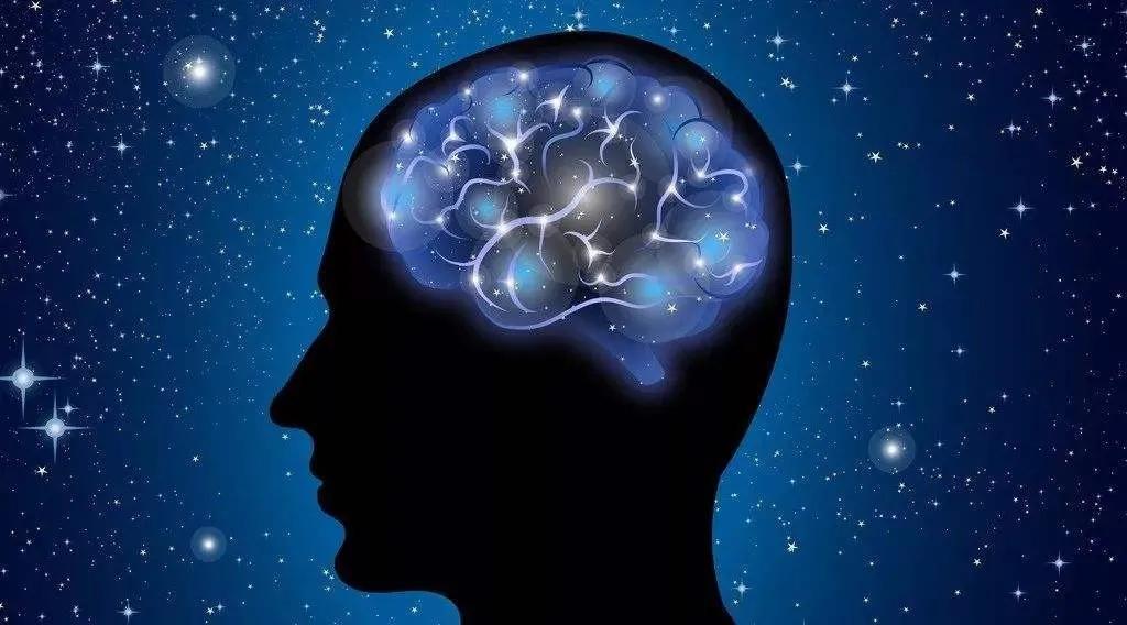 经营家庭农场的10个盈利模式,日本家庭农场经营模式