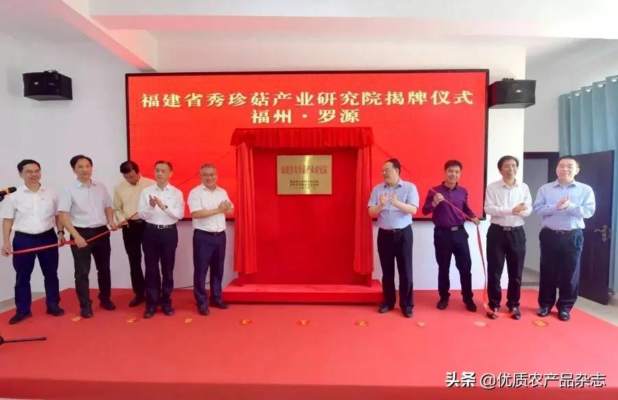 罗源秀珍菇之乡,罗源县秀珍菇最新消息