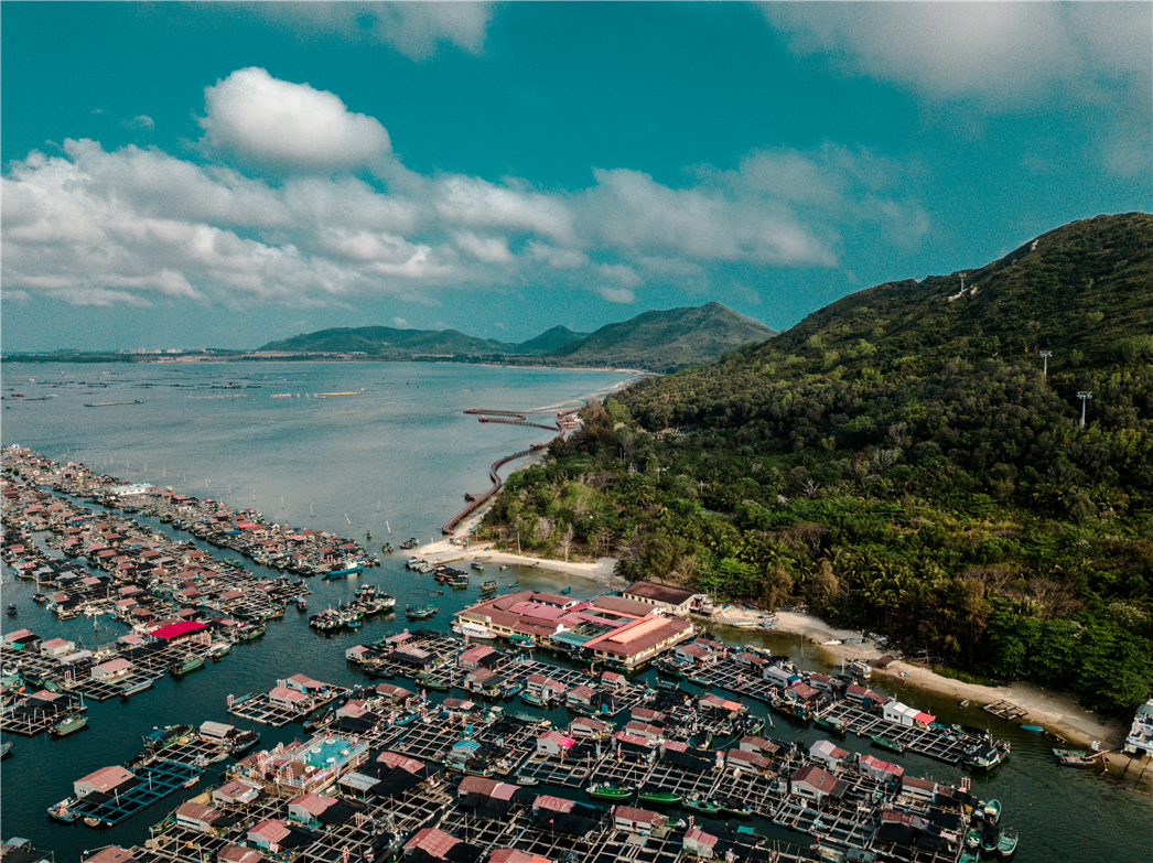 海南必玩猴岛与呆呆丨看萌呆猕猴,呆呆岛发呆