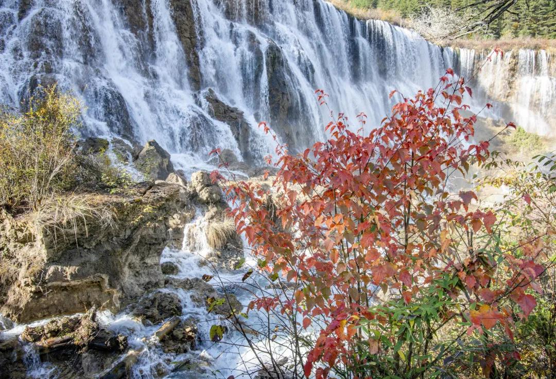 九寨沟路上招手,前方到站宁强