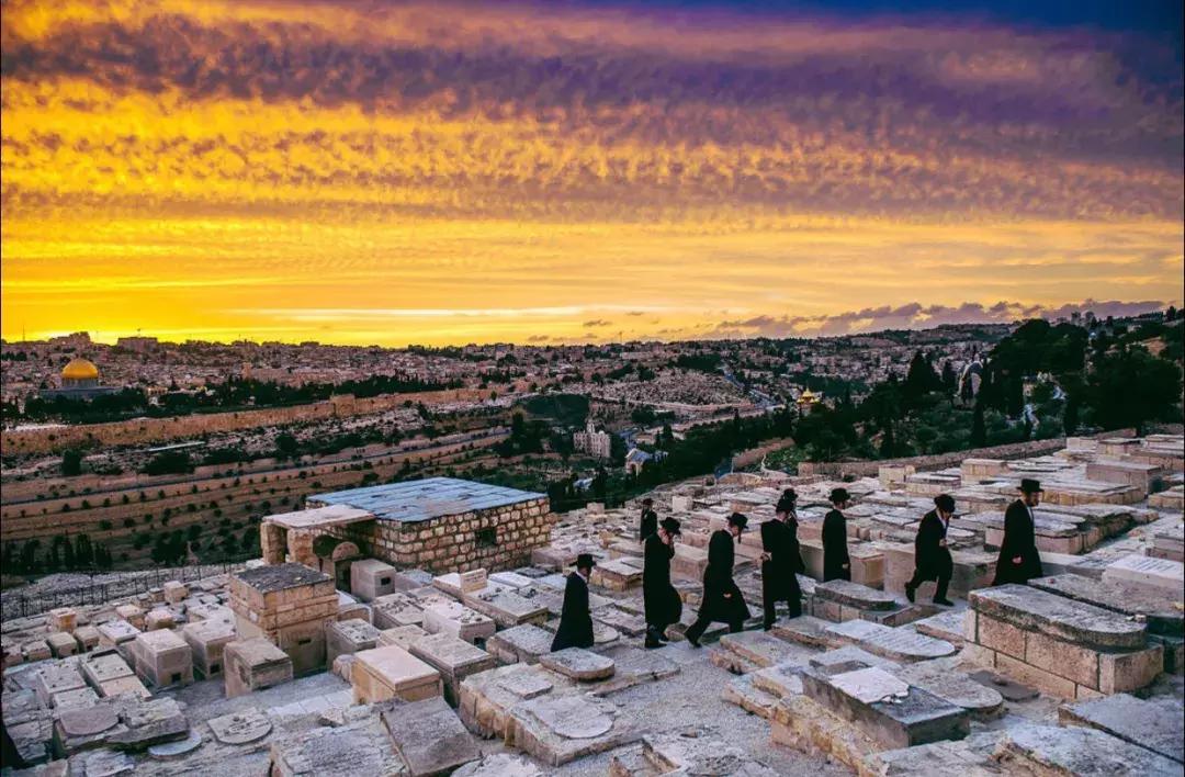 以色列创新游学之旅,以色列游学创新之旅