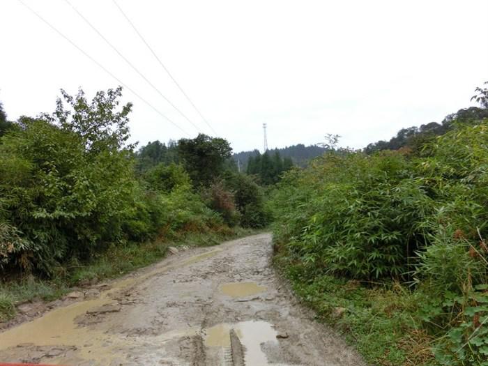 林场，我记忆的沟回