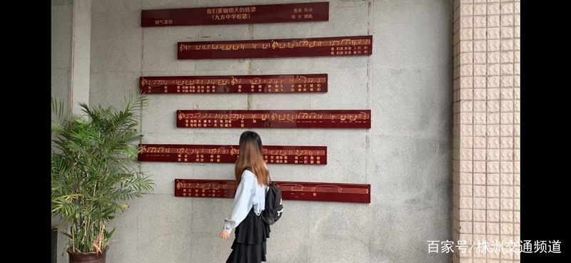 粽情端午与爱同行,粽情端午欢度六一