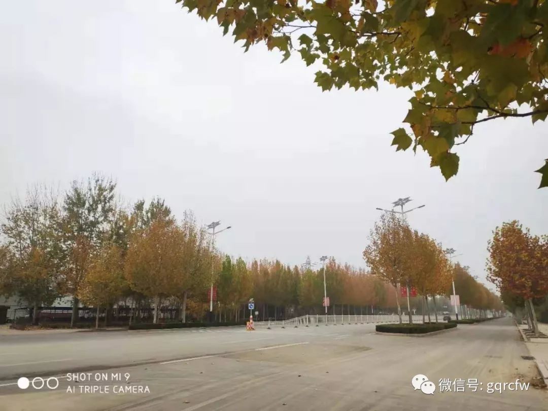 国庆人才推介2019,国庆人才需求