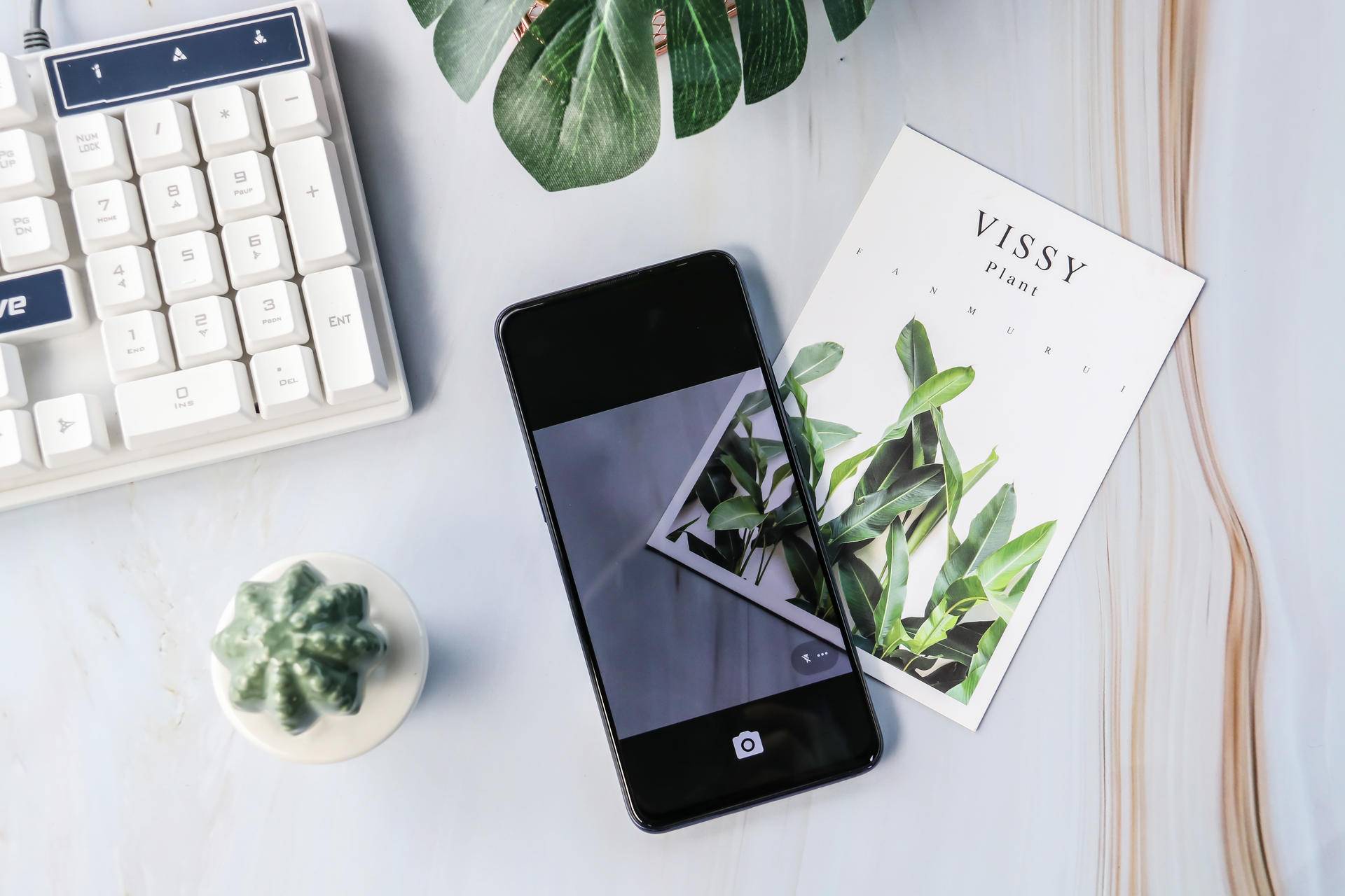 vivox27体验版评测,vivox27各方面测试