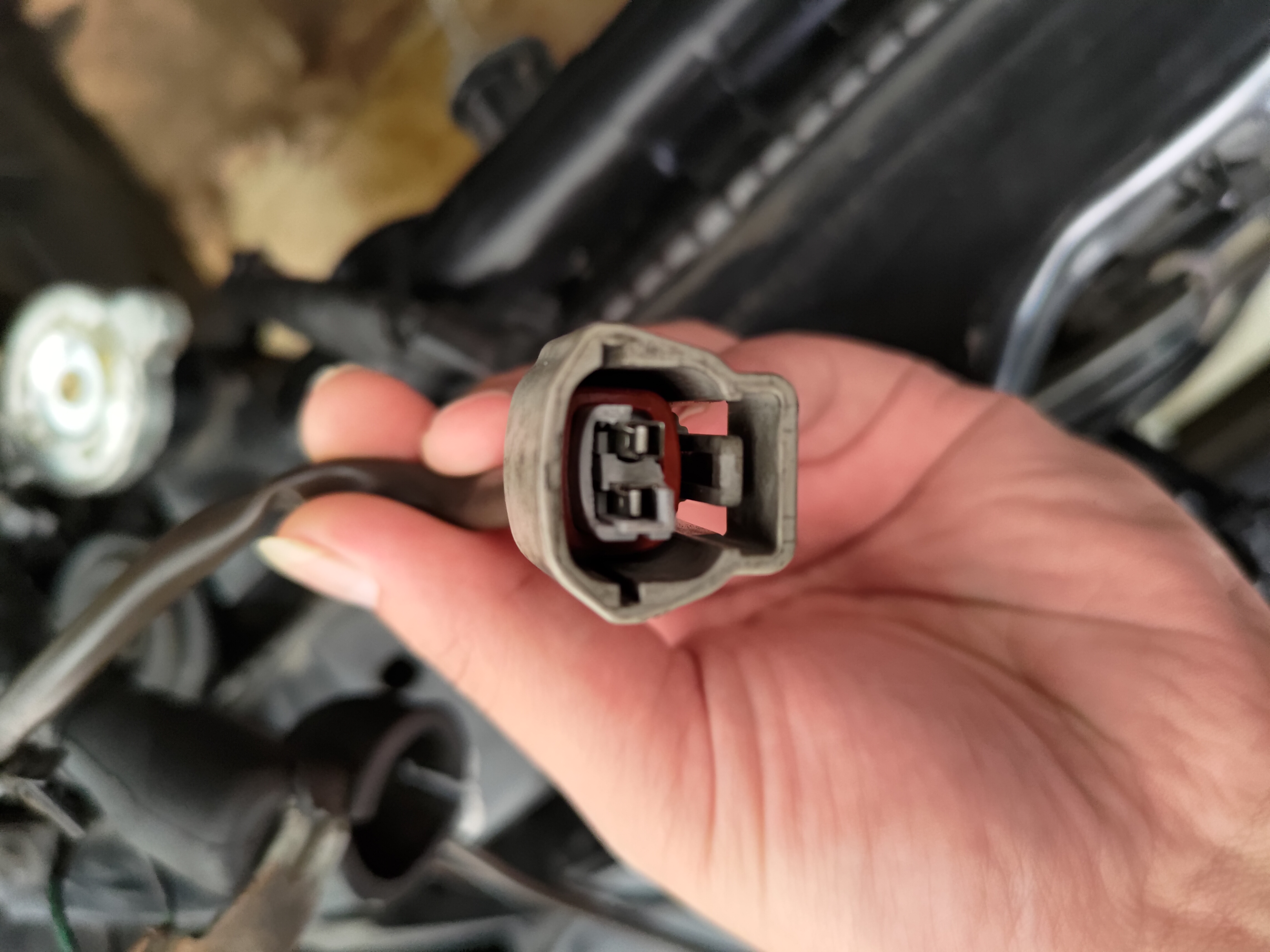 缘分注定的意外一台3.5排量6缸车的2万预算整备之旅