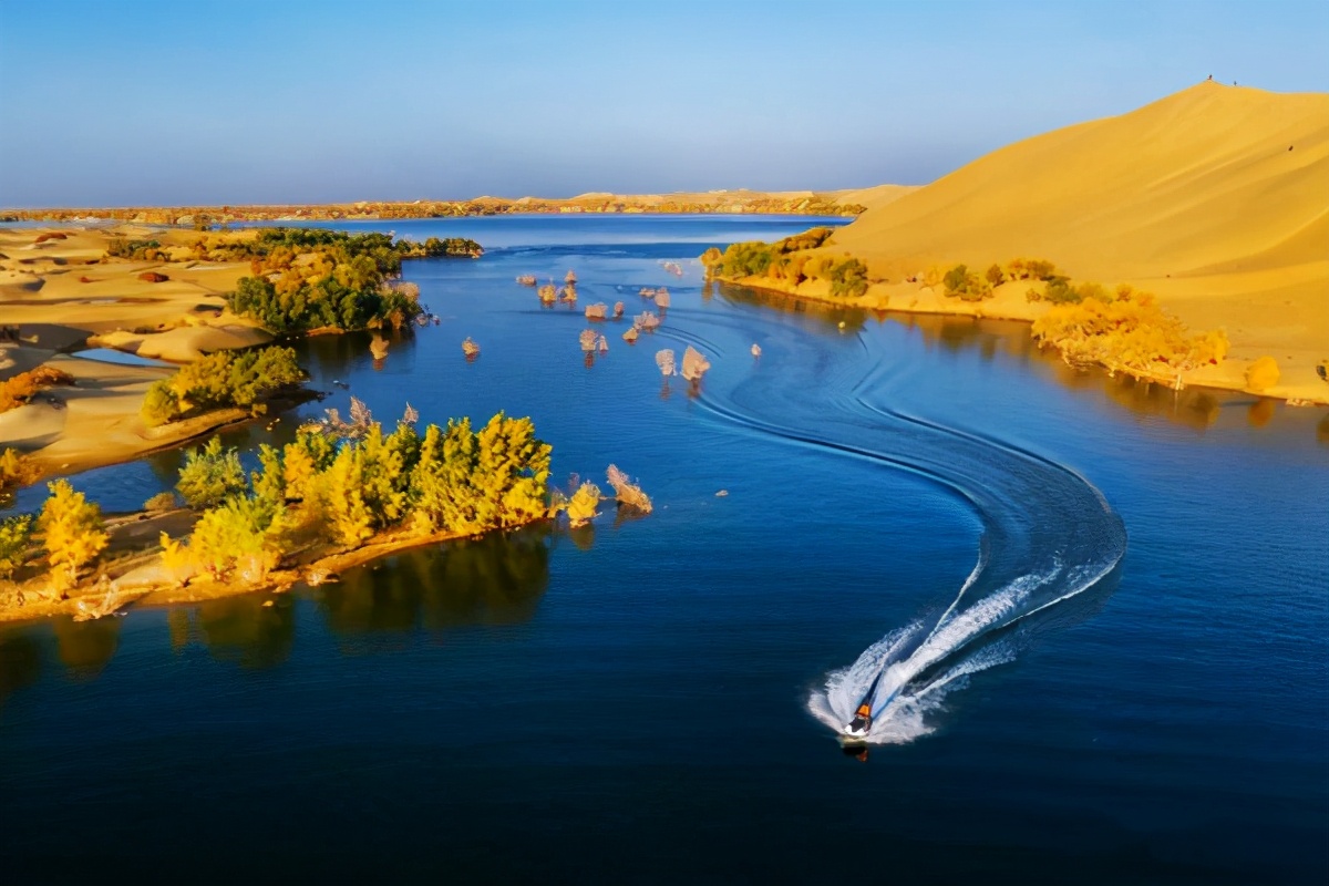 艺术家朗诵不朽的胡杨,千年不朽的胡杨