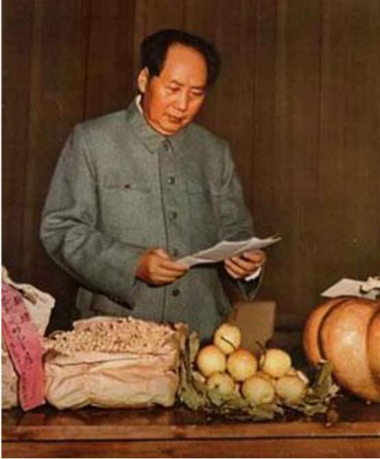 毛主席去青岛视察,顺便去肖劲光家做客:让你夫人做个苦瓜炒鸭子