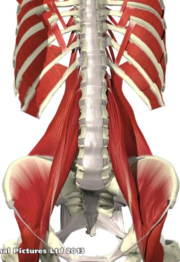 腰椎间盘突出针灸能治彻底吗,腰椎间盘突出针灸治疗能彻底吗