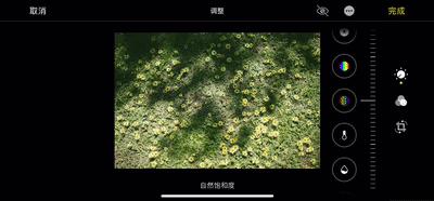 iphone自带软件5个实用功能,iphone手机方便快捷实用小技巧