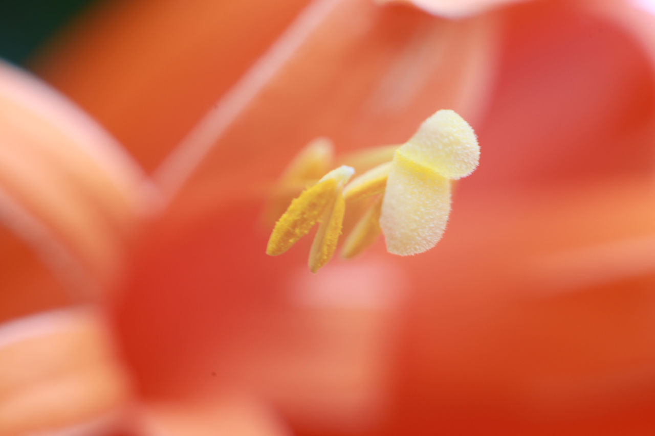 经典成语故事40则初中,每日积累100个成语故事讲给孩子听