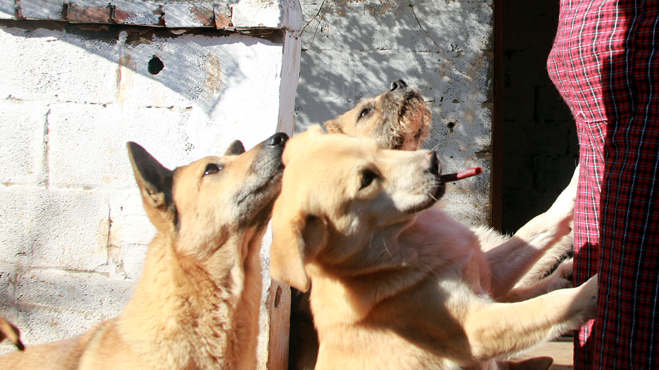 每一个生命都需要被尊重和善待,每一个生命都要被尊重被温暖