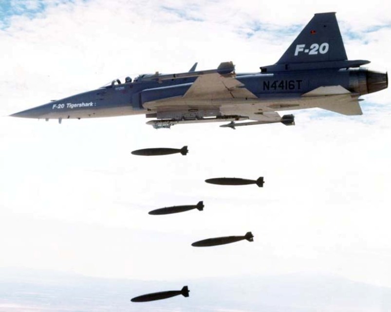 虎鲨悲剧,极富悲剧色彩的虎鲸