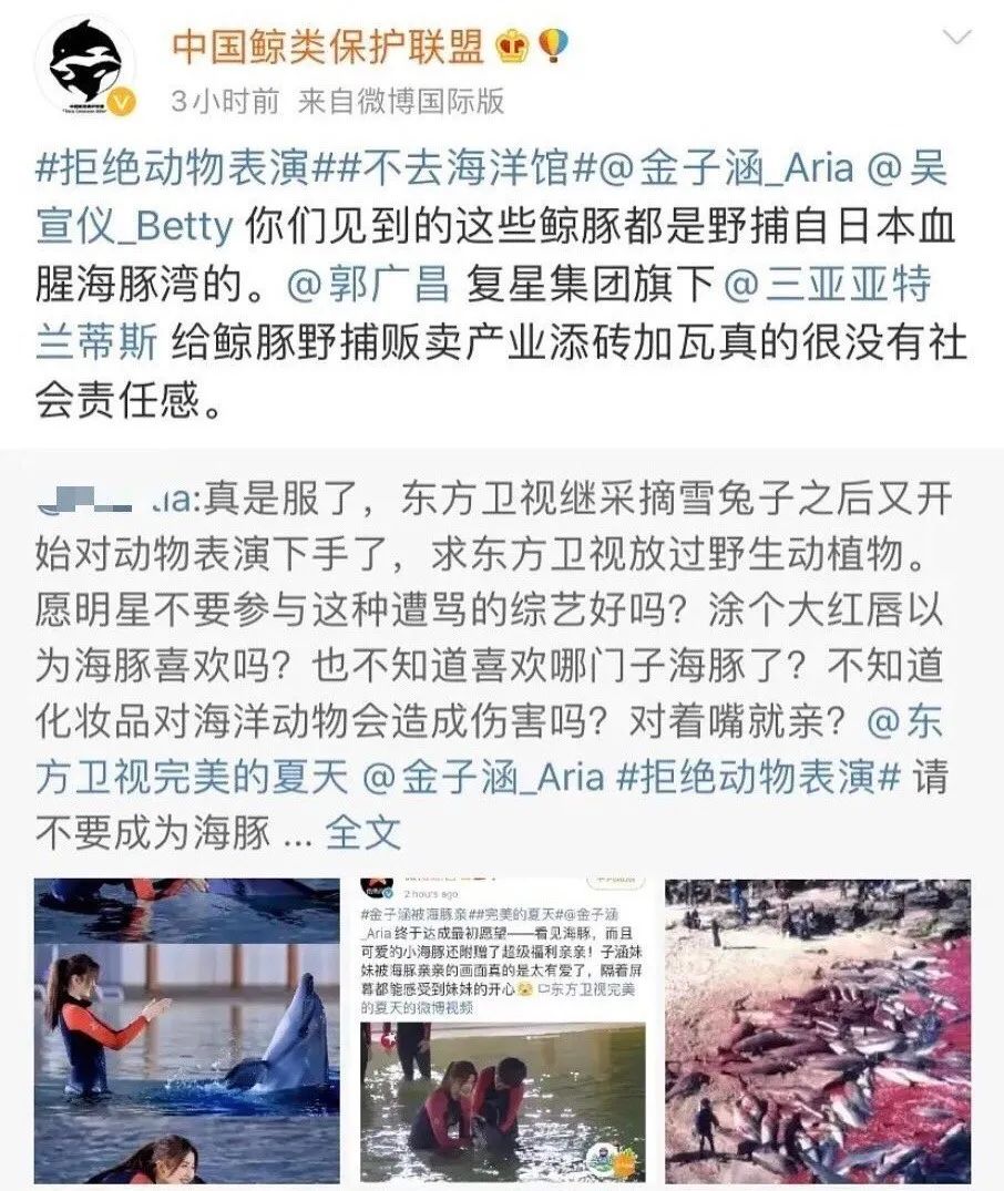 金子涵进乐华几年,乐华和金子涵什么关系