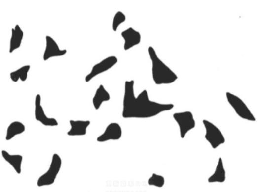 意识是如何运作的？本文将颠覆你的认知