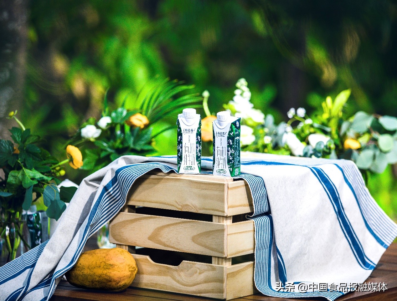 蒙牛快速响应战疫捐,蒙牛乳业受疫情影响吗